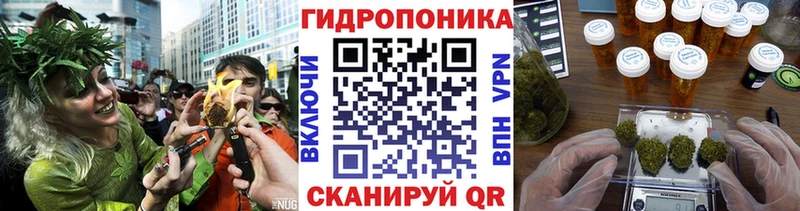 магазин продажи наркотиков  Сясьстрой  сайты даркнета наркотические препараты  Бошки марихуана ГИДРОПОН 